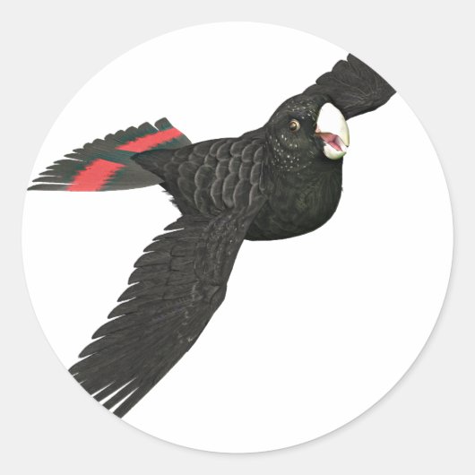 Red Tailed Black Cockato Ronde Sticker (Voorkant)