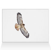 Red Tailed Hawk (Binnen Horizontaal (Boven))