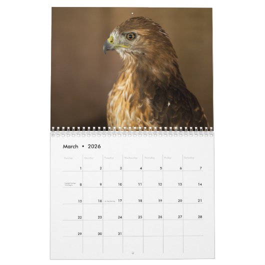Red Tailed Hawk 2023 Calendar Kalender (Mar 2026)