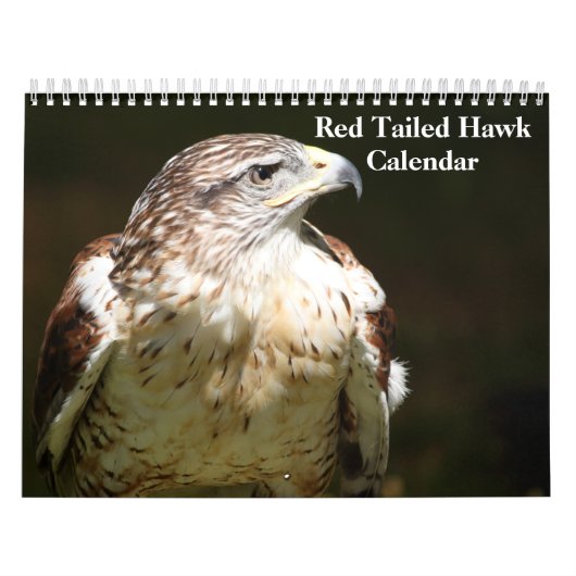 Red Tailed Hawk 2023 Calendar Kalender (Hoes)