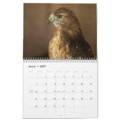 Red Tailed Hawk 2023 Calendar Kalender (Mar 2027)