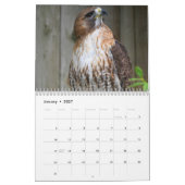 Red Tailed Hawk 2023 Calendar Kalender (Jan 2027)