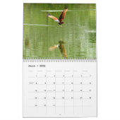 Red Tailed Hawk 2025 Kalender (Mar 2026)