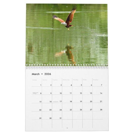 Red Tailed Hawk 2025 Kalender (Mar 2026)