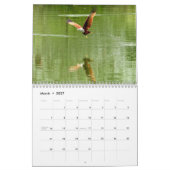 Red Tailed Hawk 2025 Kalender (Mar 2027)