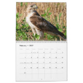 Red Tailed Hawk 2025 Kalender (Feb 2027)