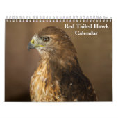 Red Tailed Hawk 2025 Kalender (Hoes)