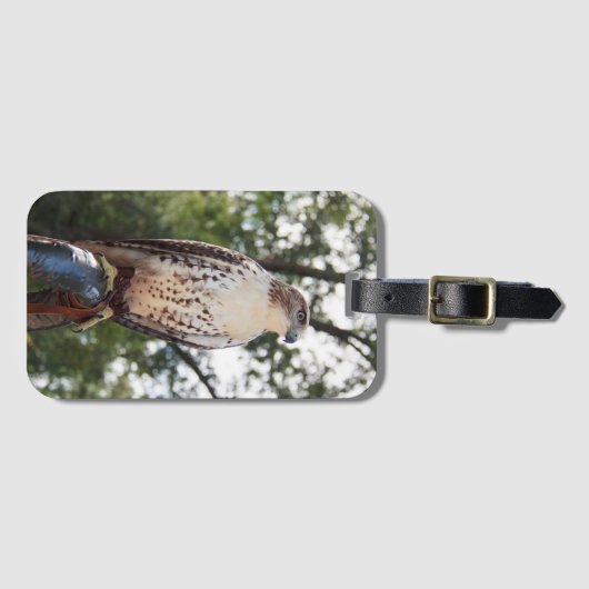 Red-Tailed Hawk Bagagelabel (Voorkant (horizontaal))