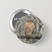 Red Tailed Hawk Bird Button (Voorkant /achterkant)