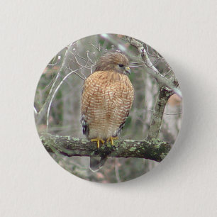 Red Tailed Hawk Bird Button