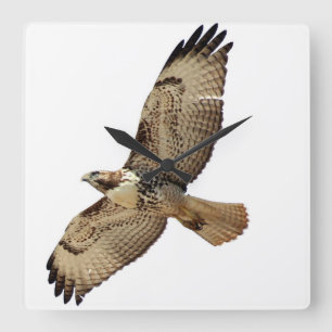 Red Tailed Hawk Bird Willife Animal Wall Clock Vierkante Klok