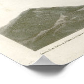 Red Tailed Hawk Birds uit Amerika door James Audub Poster (Hoek)