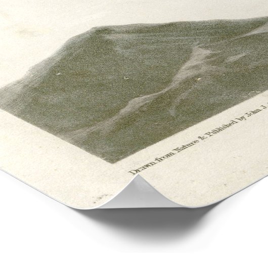 Red Tailed Hawk Birds uit Amerika door James Audub Poster (Hoek)