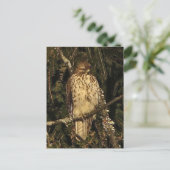 Red Tailed Hawk Briefkaart (Staand voorkant)