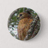 Red Tailed Hawk Button (Voorkant)