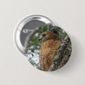 Red Tailed Hawk Button (Voorkant /achterkant)