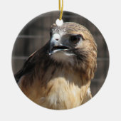 Red Tailed Hawk/Buzzard Ornament (Voorkant)