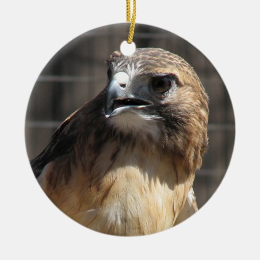 Red Tailed Hawk/Buzzard Ornament (Voorkant)