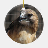 Red Tailed Hawk/Buzzard Ornament (Achterkant)