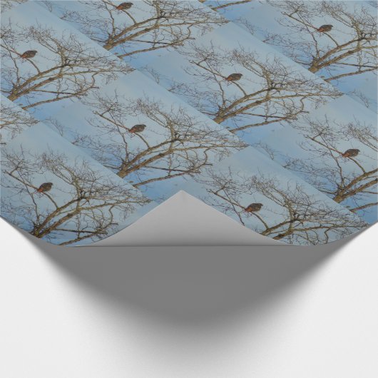 Red Tailed Hawk Cadeaupapier (Hoek)