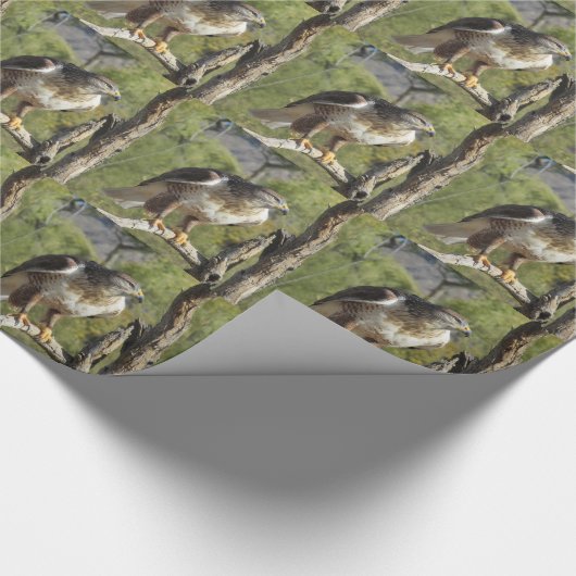 Red Tailed Hawk Cadeaupapier (Hoek)