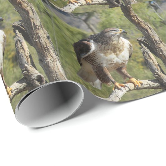 Red Tailed Hawk Cadeaupapier (Rol Hoek)