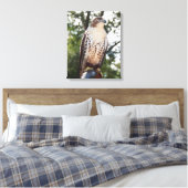 Red-Tailed Hawk Canvas Afdruk (Insitu (Slaapkamer))