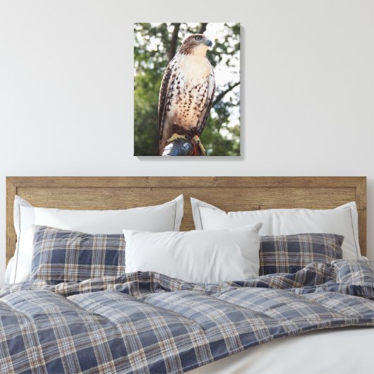 Red-Tailed Hawk Canvas Afdruk (Insitu (Slaapkamer))