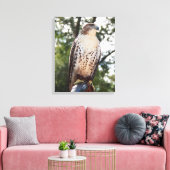 Red-Tailed Hawk Canvas Afdruk (Insitu (Woonkamer))