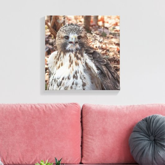 Red Tailed Hawk Canvas Afdruk (Insitu (Woonkamer))
