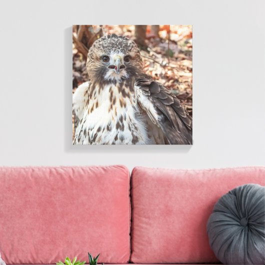Red Tailed Hawk Canvas Afdruk (Insitu (Woonkamer))