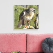 Red Tailed Hawk Canvas Afdruk (Insitu (Woonkamer))