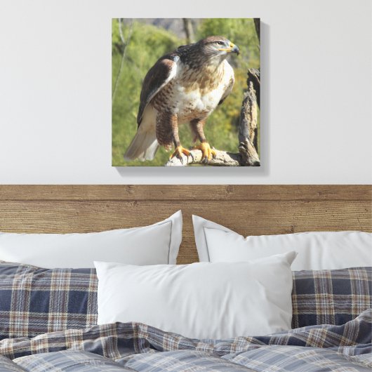 Red Tailed Hawk Canvas Afdruk (Insitu (Slaapkamer))