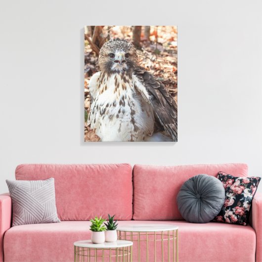 Red Tailed Hawk Canvas Afdruk (Insitu (Woonkamer))