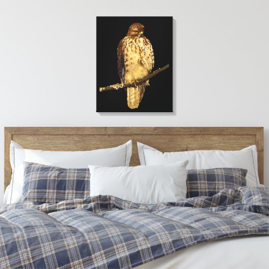 Red Tailed Hawk Canvas Afdruk (Insitu (Slaapkamer))