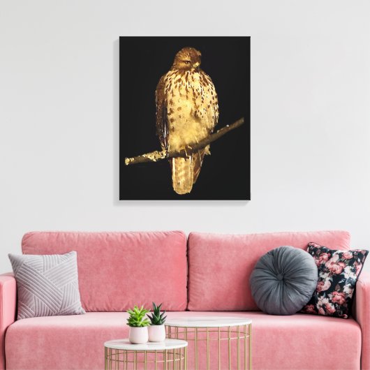 Red Tailed Hawk Canvas Afdruk (Insitu (Woonkamer))