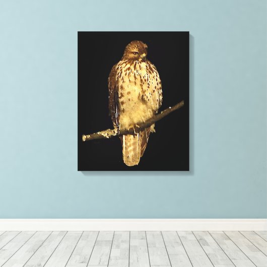 Red Tailed Hawk Canvas Afdruk (Insitu (Houten vloer))
