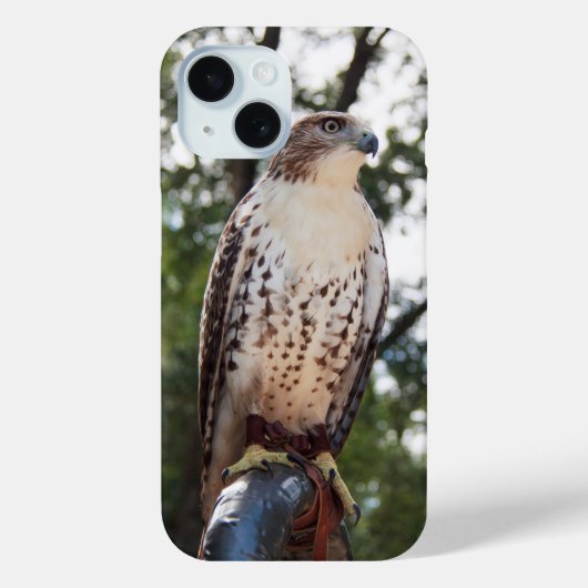 Red-Tailed Hawk Case-Mate iPhone Case (Achterkant)