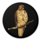 Red Tailed Hawk Ceramic Knob Keramische Knop (Voorkant)