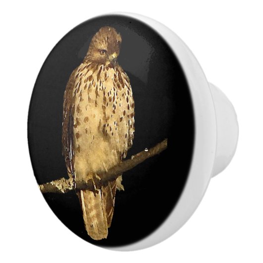 Red Tailed Hawk Ceramic Knob Keramische Knop (Rechts)