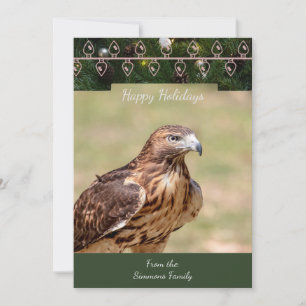 Red-Tailed Hawk Christmas Kaart