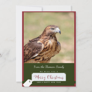 Red-Tailed Hawk Christmas Kaart
