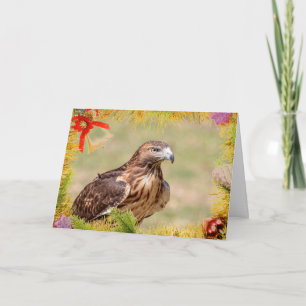 Red-Tailed Hawk Christmas Kaart