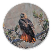 Red-tailed Hawk Custom Keramische knop (Voorkant)
