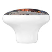 Red-tailed Hawk Custom Keramische knop (Zijkant)