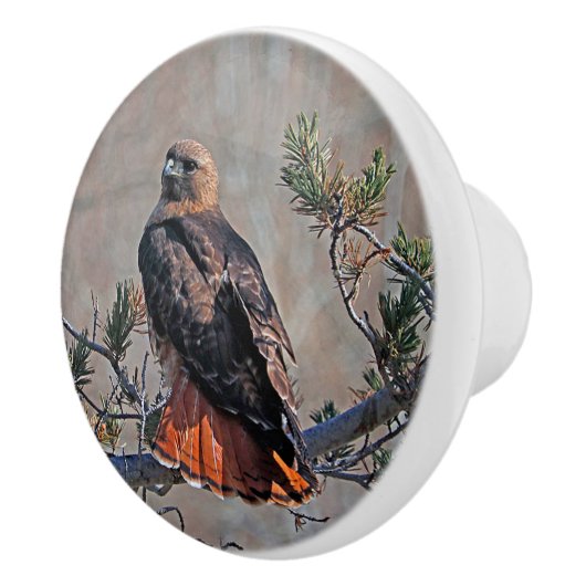 Red-tailed Hawk Custom Keramische knop (Rechts)