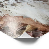 Red Tailed Hawk Foto Afdruk (Hoek)