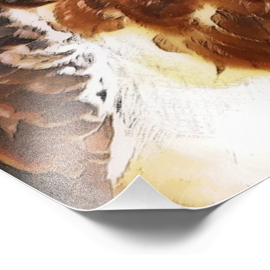 RED TAILED HAWK FOTO AFDRUK (Hoek)