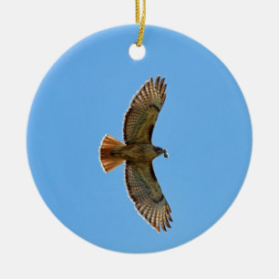 Red-Tailed Hawk Foto Keramisch Ornament