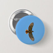 Red-Tailed Hawk Foto Ronde Button 5,7 Cm (Voorkant /achterkant)
